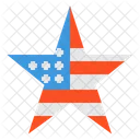 Estrella De Estados Unidos Estrella Favorita Icono