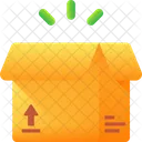 Package Box Delivery Icon