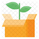 Unboxing Plant  Icon