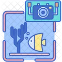 Underwater Photography  Icon