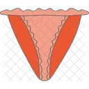 Underwear Fashion Clothes Icon