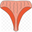 Underwear Fashion Clothes Icon