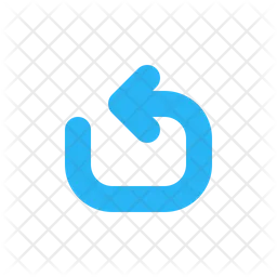Undo  Icon