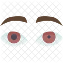 Unequal Pupils Ocular Icon