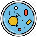Unicellular Single Cell  Icon