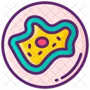 Célula unicelular Icono