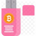 Unidad Flash Bitcoin Bitcoin Unidad Flash Icono