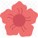 Unique Flower Rare Bloom Exotic Flower Icon