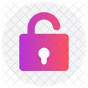 Interface Unlock Open Icon