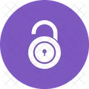 Unlock Open Lock Icon