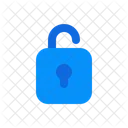 Internet Security Unlock Icon
