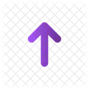 Up Arrow  Icon