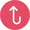 Arrow Arrows Up Icon