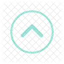 Show More All Icon