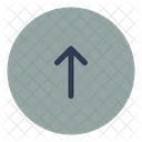 Up Arrow  Icon