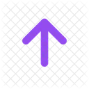 Ui Material Outline Exp Icon