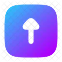 Upload Quadrat Symbol