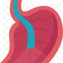 Upper Endoscopy Gastrointestinal Icon