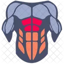 Upper abdominals  Icon