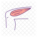 Upper leg muscle  Icon