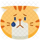 Upset Emoticon Cat Icon