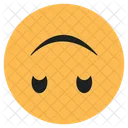 Upside Down Face Emoji  Icon