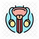 Urethral Stricture Urology Symbol