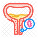 Urethritis Urology Nephrology Icon