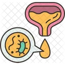 Urinary Infection Kidney Icon
