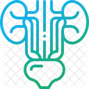 Urinary Bladder Kidney Icon