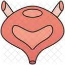 Urinary  Icon