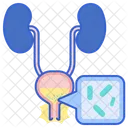Urinary Tract Infection Female Bladder Full Icon