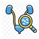 Urinary Tract Infection Icon