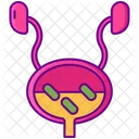 Urinary Tract Infection Infection Tract Icon