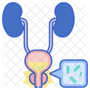 Urinary Tract Infection Male  Icon