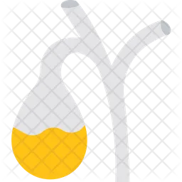 Urine bag  Icon