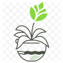 Urn Plant Nature Gardening Icon