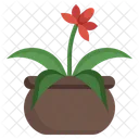 Urn Plant Bromeliad Farming And Gardening Icon