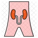 Urologie Urin Korper Symbol