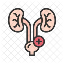 Urology  Icon
