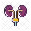 Urology Icon