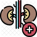 Urology  Icon