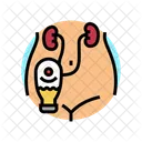 Urostomy Urology Prostate Icon