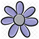 Ursinia Blossom Flower Icon