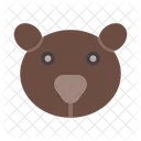 Urso  Ícone