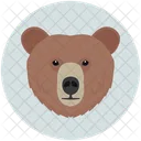 Urso  Ícone