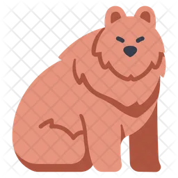 Urso  Ícone