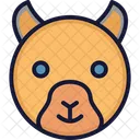 Urso Animal Selvagem Mamifero Icon