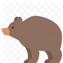 Urso  Ícone