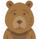 Urso  Ícone